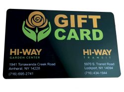 giftcard1 giftcard1
